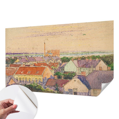 3D fototapeta z motivom mestnih streh