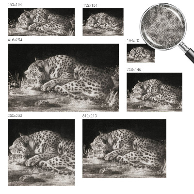 Samolepilna fototapeta za dnevno sobo Leopard počiva