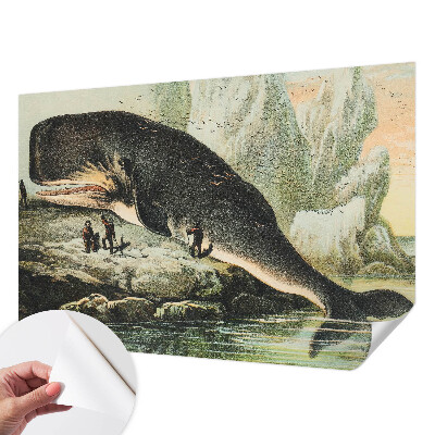 Otroška fototapeta z motivom morskega gigantizma