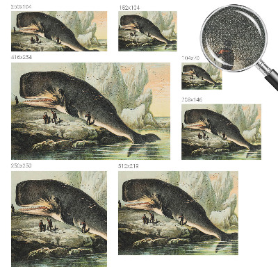 Otroška fototapeta Morski gigantizem