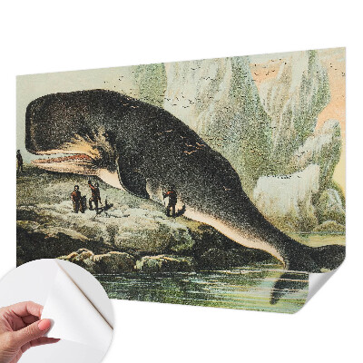 Otroška fototapeta z motivom morskega gigantizma