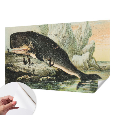 Otroška fototapeta z motivom morskega gigantizma