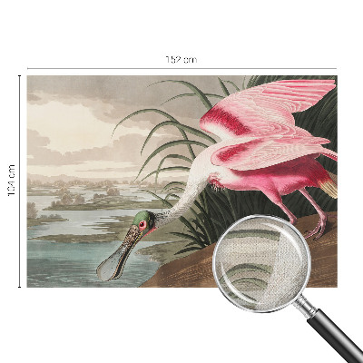 Otroška fototapeta Eksotična ptica