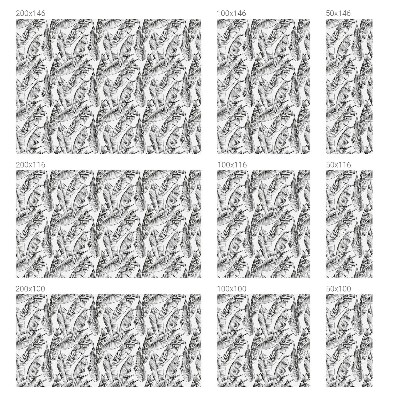 Okenska folija vitraž za zasebnost Tropski listi