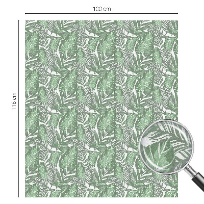 Folija za okna proti soncu Zelena harmonija