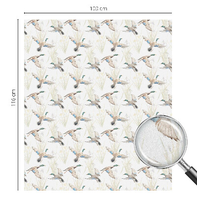 Mlečna folija za okna vitraž Ptice v naravi