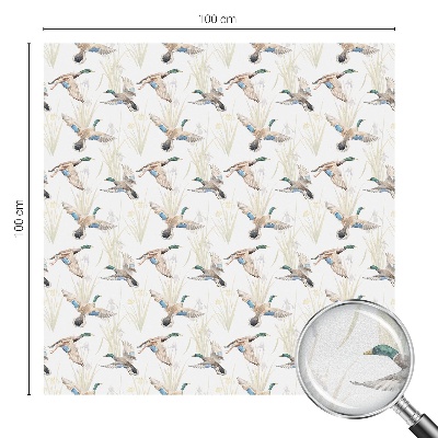 Mlečna folija za okna vitraž Ptice v naravi