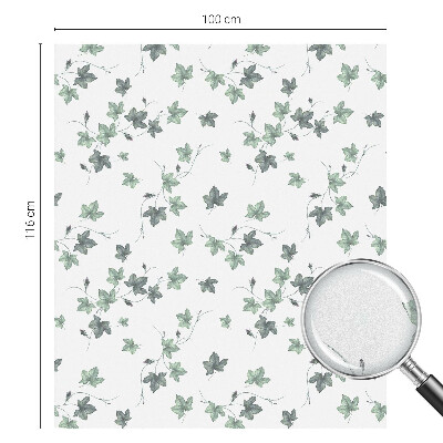 Okenska folija vitraž za zasebnost Zelena trta