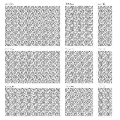 Mlečna folija za okna vitraž Klasični portreti