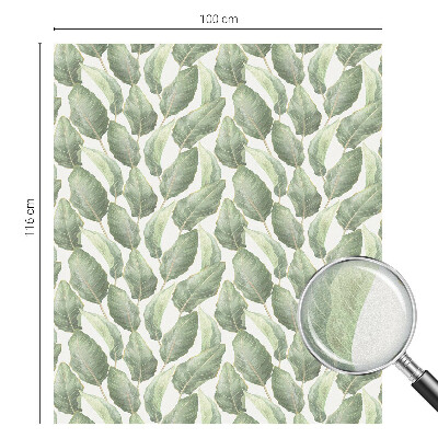 Okenska folija za zaščito pred pogledi Zeleni listi