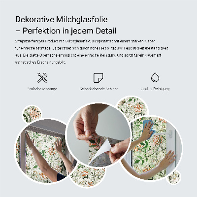 Dekorativna folija za steklo vitraž Cvetlična eleganca