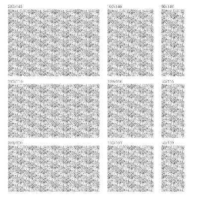 Okenska folija za zaščito pred pogledi Cvetlična eleganca