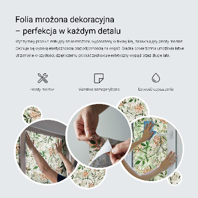 Dekorativna folija za steklo vitraž Zeleni okrasek