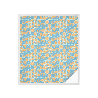 Mlečna folija za okna vitraž Ribji citrus