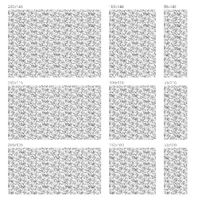 Folija za okna proti soncu Ptice in rože