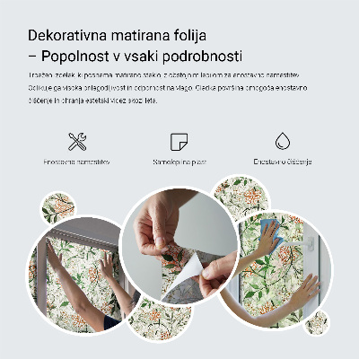 Okenska folija za zaščito pred pogledi Vzorec ptic