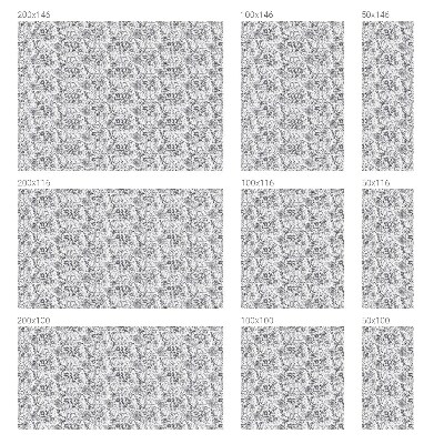 Okenska folija za zaščito pred pogledi Cvetlična eleganca