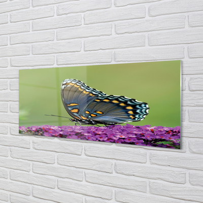 Slika na akrilnem steklu Pisani metulj na cvetje