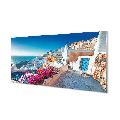 Slika na akrilnem steklu Zgradbe grčija morske rože