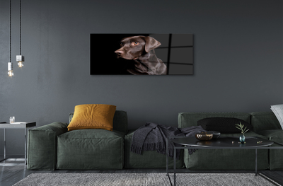 Slika na akrilnem steklu Rjav pes