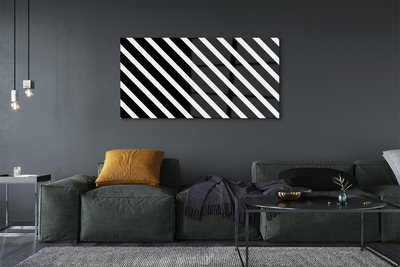 Slika na akrilnem steklu Zebra stripes
