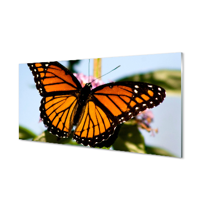 Slika na akrilnem steklu Pisane metulj