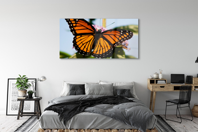 Slika na akrilnem steklu Pisane metulj