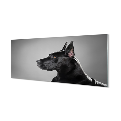 Slika na akrilnem steklu Črni pes