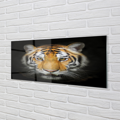 Slika na akrilnem steklu Tiger