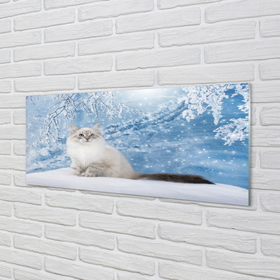 Slika na akrilnem steklu Mačka zima