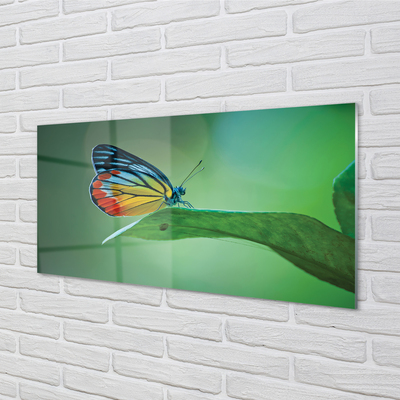 Slika na akrilnem steklu Pisani metulj listov