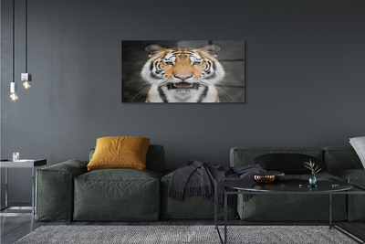 Slika na akrilnem steklu Tiger