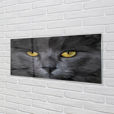 Slika na akrilnem steklu Črna mačka
