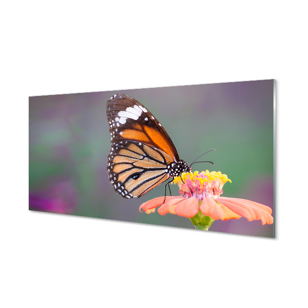 Slika na akrilnem steklu Pisani metulj cvet