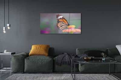 Slika na akrilnem steklu Pisani metulj cvet