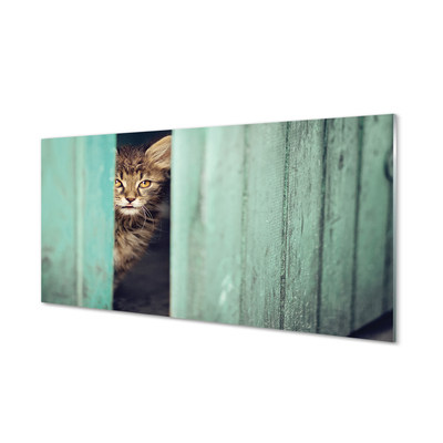 Slika na akrilnem steklu Zaglądający mačka