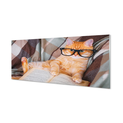 Slika na akrilnem steklu Bralec mačka