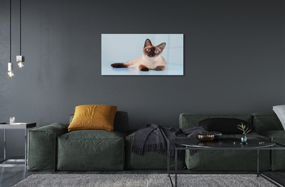 Slika na akrilnem steklu Leži mačka