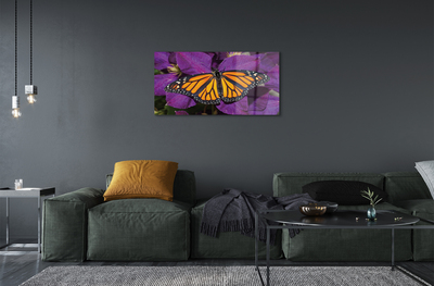 Slika na akrilnem steklu Pisane metulj rože