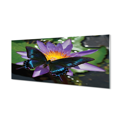 Slika na akrilnem steklu Metulj cvet