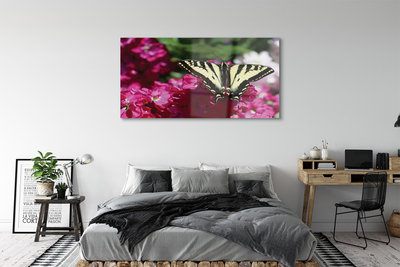 Slika na akrilnem steklu Cvetje metulj
