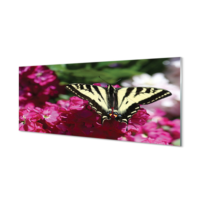 Slika na akrilnem steklu Cvetje metulj