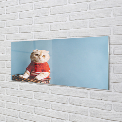 Slika na akrilnem steklu Sedi mačka