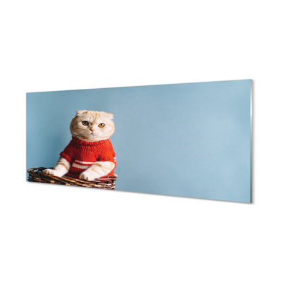 Slika na akrilnem steklu Sedi mačka