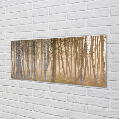 Slika na akrilnem steklu Sunrise drevo gozd