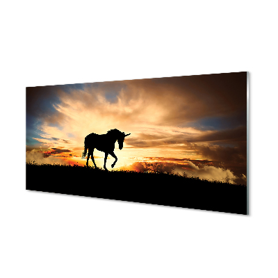 Slika na akrilnem steklu Unicorn sunset