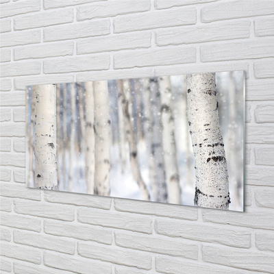 Slika na akrilnem steklu Drevesa pozimi sneg