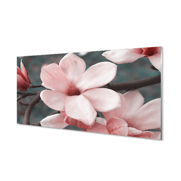 Slika na akrilnem steklu Roza cvetovi