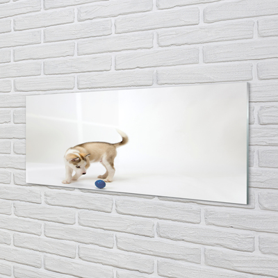 Slika na akrilnem steklu Igranje s psom