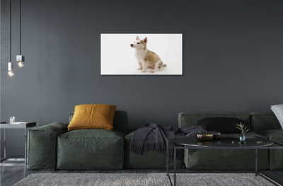 Slika na akrilnem steklu Sedenje majhen pes